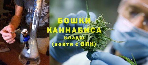 трава Рославль