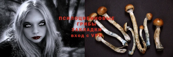 ешки Россошь