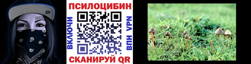 Псилоцибиновые грибы Psilocybine cubensis  Купить закладки  Россошь 