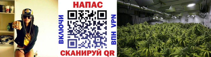 МАРИХУАНА тримм  Купить где  Россошь 